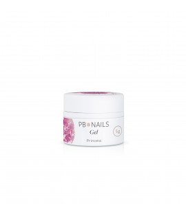 Princess Gel PR06 5g