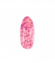 Princess Gel PR06 5g