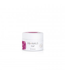 Princess Gel PR07 5g