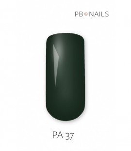 Painting Gel PA37 5g