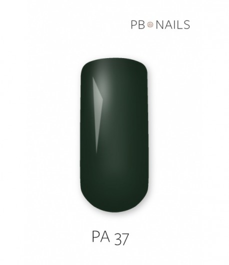 Painting Gel PA37 5g