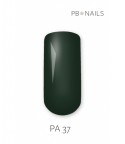 Painting Gel PA37 5g