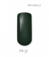Painting Gel PA37 5g