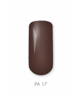 Painting Gel PA17