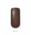 Painting Gel PA17