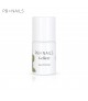 GE349 Ambrosia  10ml