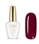 311 MOET 8ml