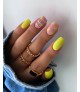 204 PARTY TIME 8ml